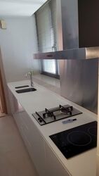 Park Infinia At Wee Nam (D11), Condominium #573951901
